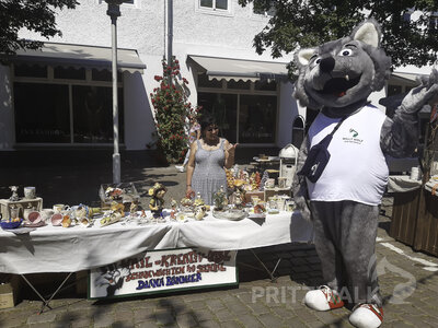 Foto des Albums: Samstagnachmittag bei den Pritzwalker Festtagen