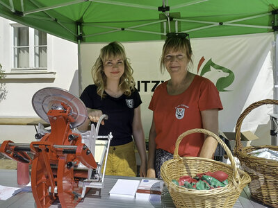Foto des Albums: Samstagnachmittag bei den Pritzwalker Festtagen