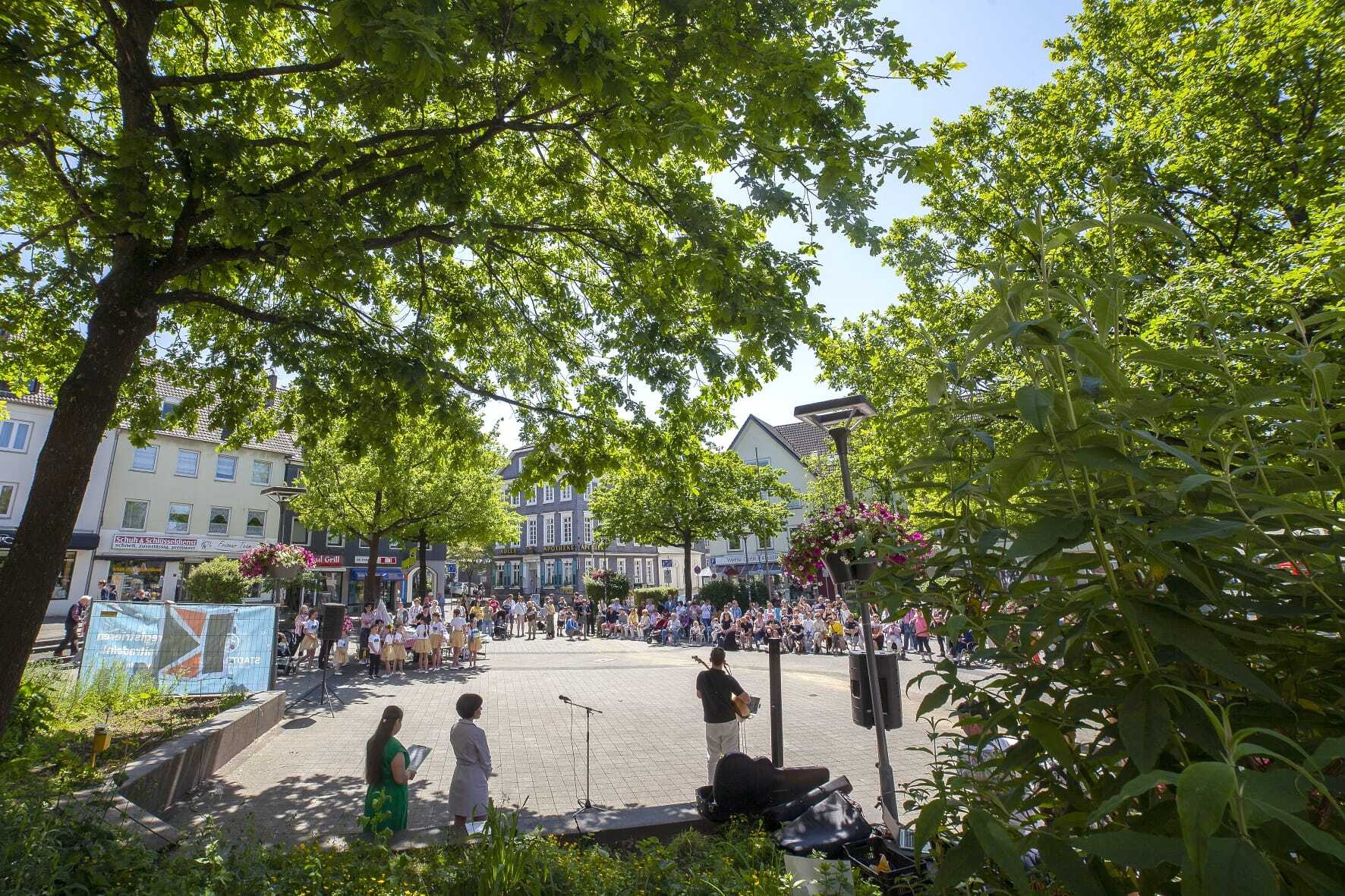 Bild der Galerie