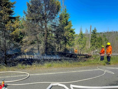Foto des Albums: Waldbrände 12.06.2023