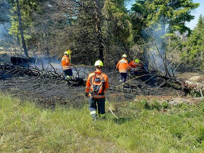 Foto des Albums: Waldbrände 12.06.2023