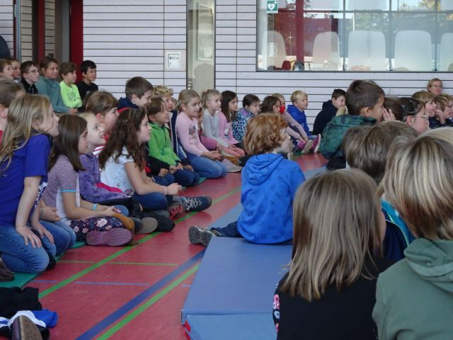 Bild der Galerie