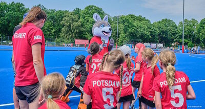 Foto des Albums: Summercup 2023 (11.06.2023)