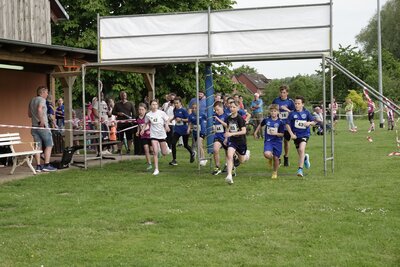 Foto des Albums: Crosslauf 2023 (07. 06. 2023)