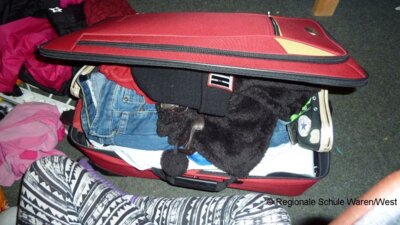 Foto des Albums: Tagebuch Skilager 6.Tag (2014)