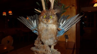 Foto des Albums: Tagebuch Skilager 3.Tag (2016)