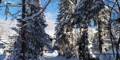 Foto des Albums: Tagebuch Skilager 4.Tag (2020)