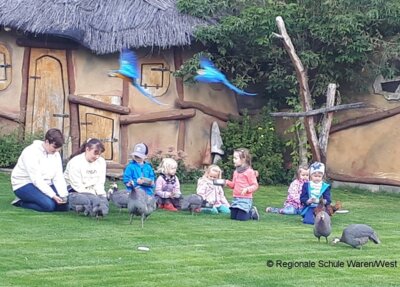 Foto des Albums: Ausflug zum Vogelpark Marlow der 8. Klassen