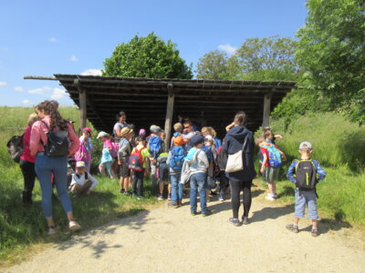 Foto des Albums: Ausflug Klassen 1/2a und 1/2c mit der tschechischen Partnerschule in den Geschichtspark Bärnau (14. 06. 2023)