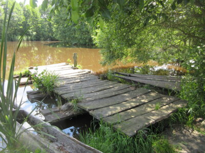 Foto des Albums: Ausflug Klassen 1/2a und 1/2c mit der tschechischen Partnerschule in den Geschichtspark Bärnau (14. 06. 2023)