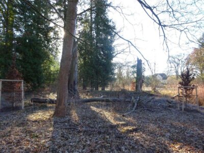 Foto des Albums: Arbeiten im Park Hoppenrade