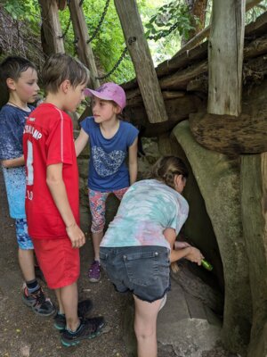 Foto des Albums: In der „Geheimen Welt von Turisede“