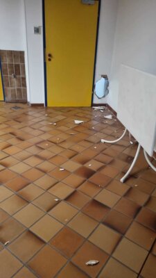 Foto des Albums: Einbruch Schöne Flöte