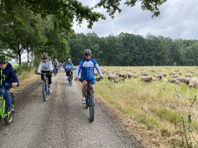 Foto des Albums: Tour de OSL