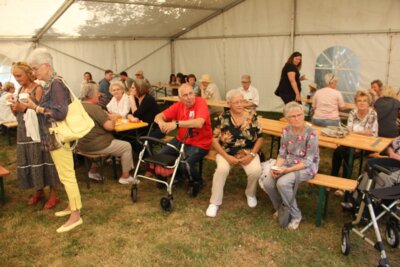 Foto des Albums: Stadtfest im Schlosspark (24.06.2023)