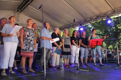 Foto des Albums: Stadtfest im Schlosspark (24.06.2023)