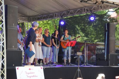 Foto des Albums: Stadtfest im Schlosspark (24.06.2023)