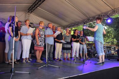 Foto des Albums: Stadtfest im Schlosspark (24.06.2023)