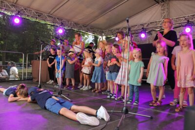 Foto des Albums: Stadtfest im Schlosspark (24.06.2023)