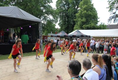 Foto des Albums: Stadtfest im Schlosspark (24.06.2023)