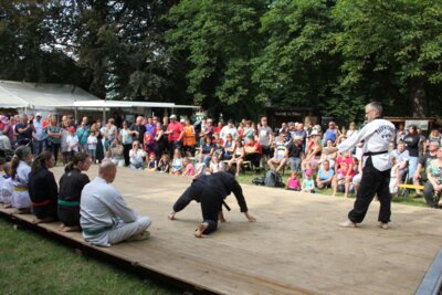 Foto des Albums: Stadtfest im Schlosspark (24.06.2023)