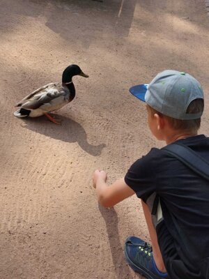 Foto des Albums: Wandertag Klasse 2, Altenburger Zoo