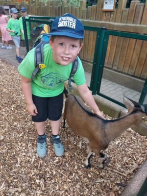 Foto des Albums: Wandertag Klasse 2, Altenburger Zoo