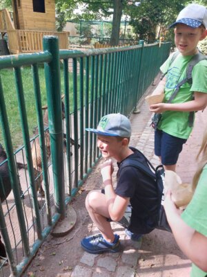 Foto des Albums: Wandertag Klasse 2, Altenburger Zoo
