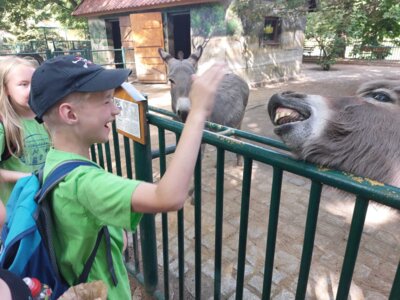 Foto des Albums: Wandertag Klasse 2, Altenburger Zoo