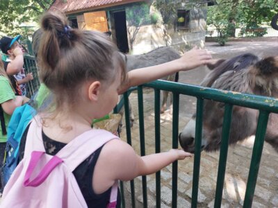 Foto des Albums: Wandertag Klasse 2, Altenburger Zoo