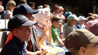 Foto des Albums: Kindertagsfahrt der Klassen 1 bis 3 zur Felsenbühne Rathen