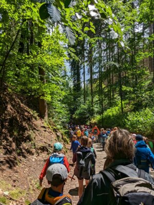 Foto des Albums: Kindertagsfahrt der Klassen 1 bis 3 zur Felsenbühne Rathen