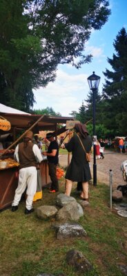 Foto des Albums: Plattenburgspektakel