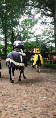 Foto des Albums: Plattenburgspektakel