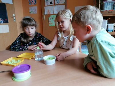 Foto des Albums: April + Mai Kindergarten 2023 (29. 06. 2023)