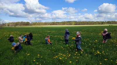 Foto des Albums: April + Mai Kindergarten 2023 (29. 06. 2023)