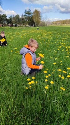 Foto des Albums: April + Mai Kindergarten 2023 (29. 06. 2023)