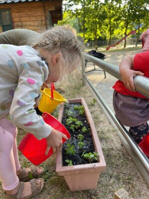 Foto des Albums: Juni Kindergarten 2023 (29. 06. 2023)