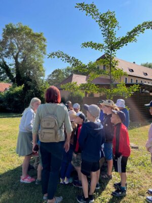 Foto des Albums: Brückenwanderung Klasse 2a- DANK an Frau Neustadt (29. 06. 2023)