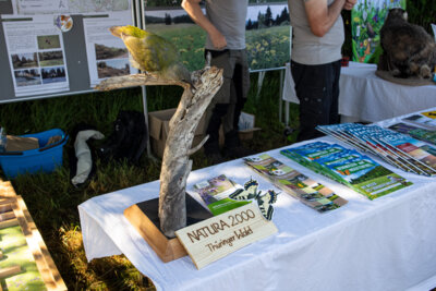 Foto des Albums: Impressionen 20. Mahdwettbewerb