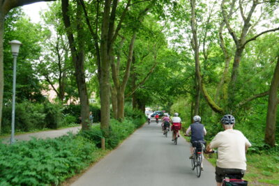 Auch gr&uuml;n - R&uuml;ckweg  (Bild vergr&ouml;&szlig;ern)