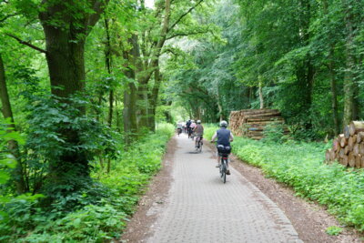 Doch, schon Hannover  (Bild vergr&ouml;&szlig;ern)