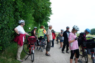 Kurz vor der B65  (Bild vergr&ouml;&szlig;ern)