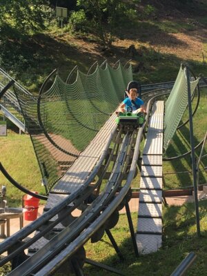 Foto des Albums: Abschluss Klasse 4a Rodelbahn