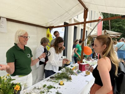 Vorschaubild der Galerie
