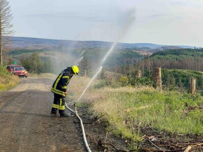 Foto des Albums: Waldbrandübung am Ahrendsberg Juni2023
