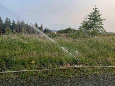 Foto des Albums: Waldbrandübung am Ahrendsberg Juni2023
