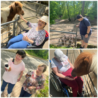 Foto des Albums: Bewohnerurlaub Halbersadt