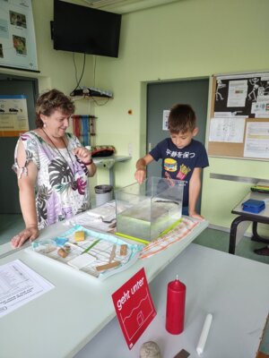 Foto des Albums: Forscherstunden in der FLEX A1-(Primarforscher)-Schwimmen und Sinken (06. 07. 2023)