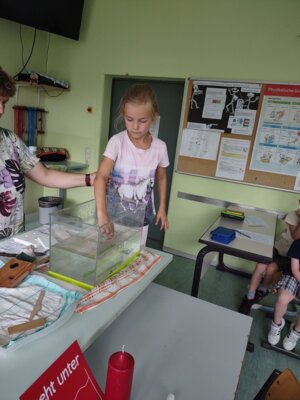 Foto des Albums: Forscherstunden in der FLEX A1-(Primarforscher)-Schwimmen und Sinken (06. 07. 2023)